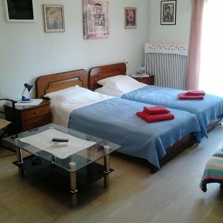 Vasiliki'S Apartment 卡兰巴卡 外观 照片