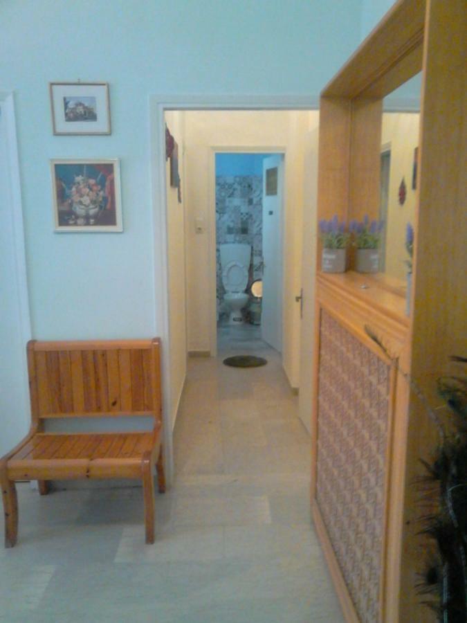 Vasiliki'S Apartment 卡兰巴卡 外观 照片